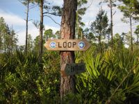 Loop Trail