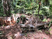 Upside Down Car