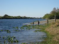 Kissimmee River View