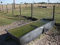 Water Trough