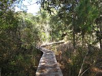 Board Walk