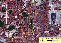Color Infrared Aerial Map