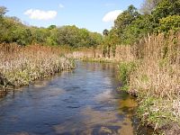 Juniper Spring Run