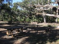 Brickyard Slough Campsite