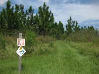 White Trail Signs
