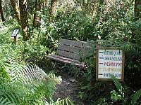 Hammock Trail