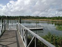 Bear Pond