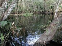 Blackwater Creek