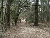 Florida Trail