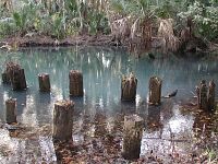 Moccasin Spring