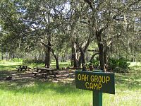 Oak Group Camp