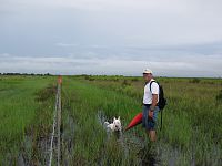 Fence Line